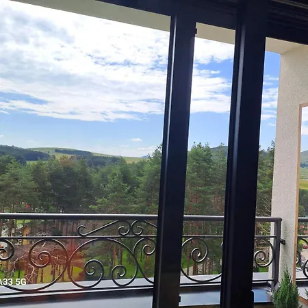 Aparthotel Dino Panorama Gallery And Library Zlatibor